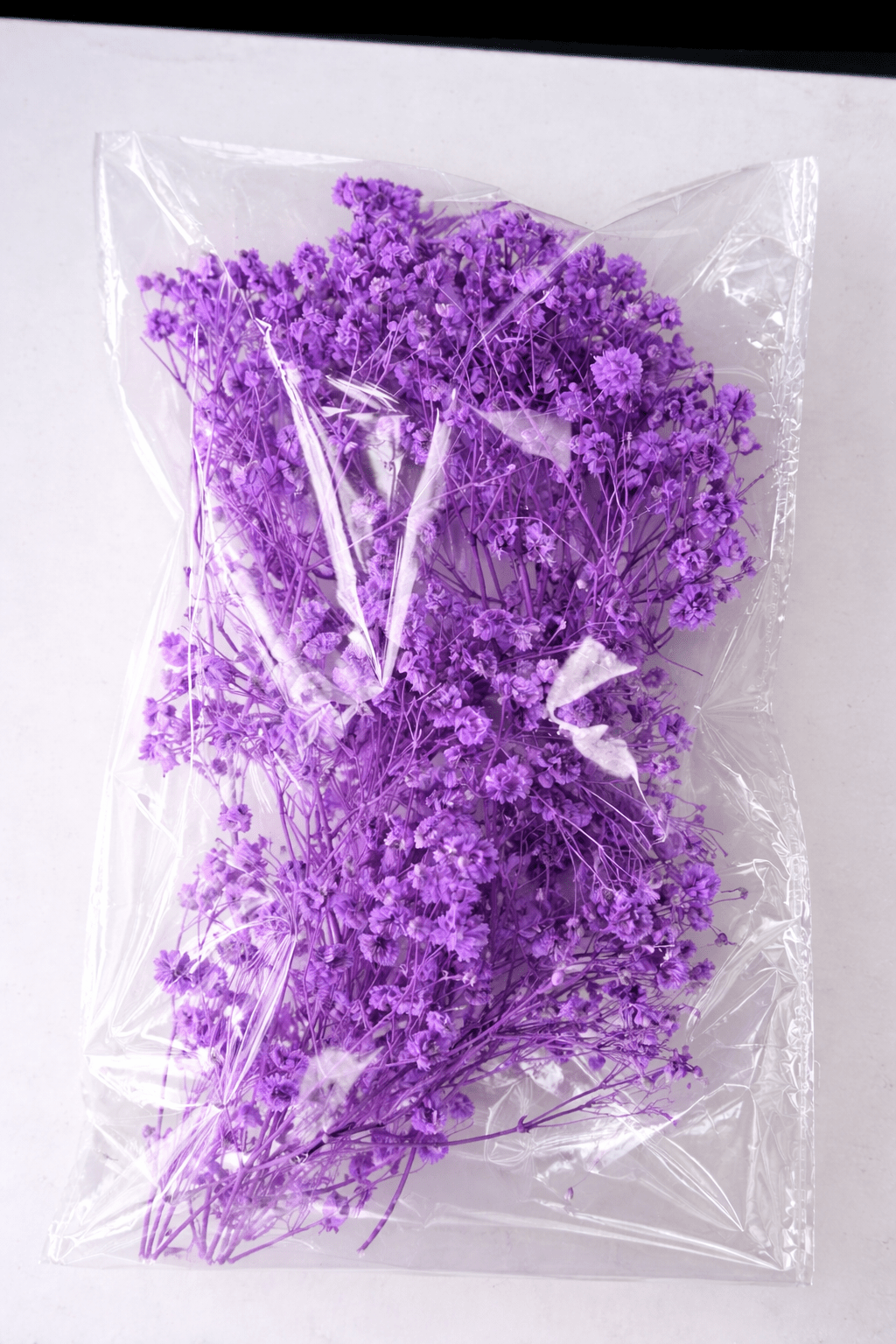 ChatGPT Image Dec 18, 2025, 12_33_16 PM