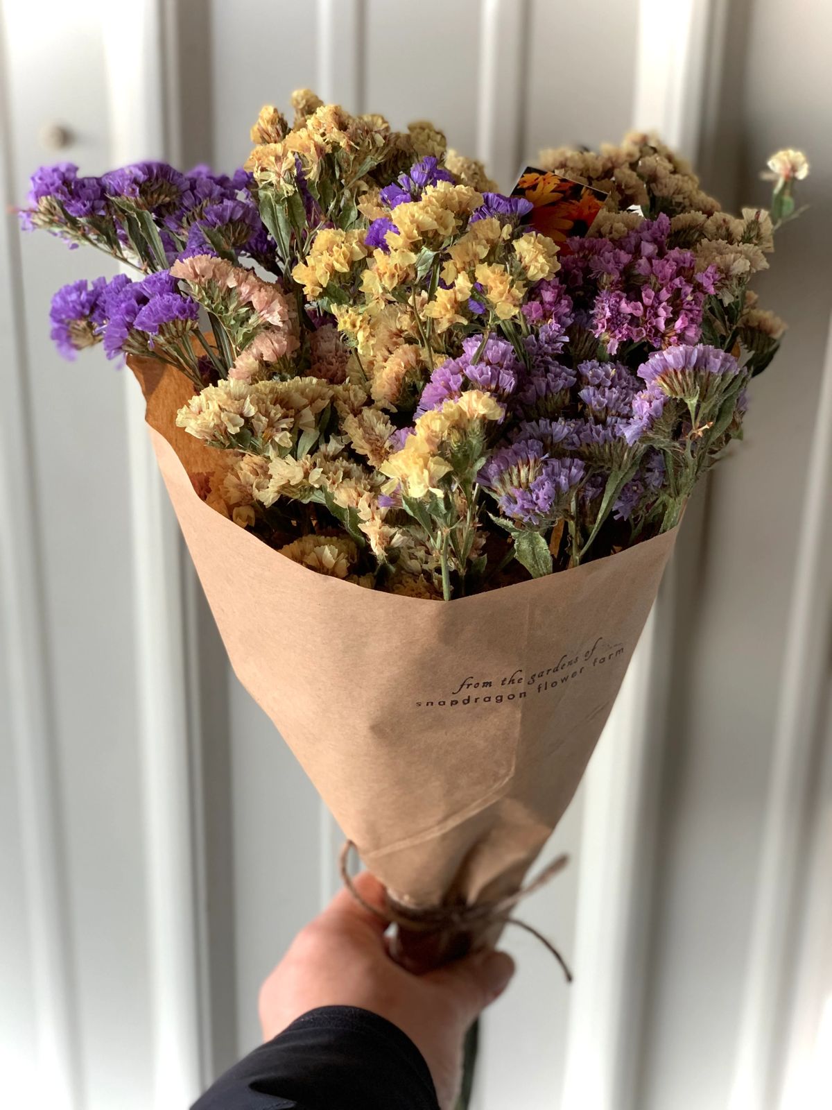 WhatsApp Image 2025-12-18 at 4.08.50 PM