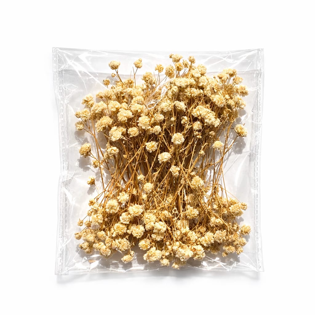 bakewareind-baby-breath-dried-flower-pack-2588407