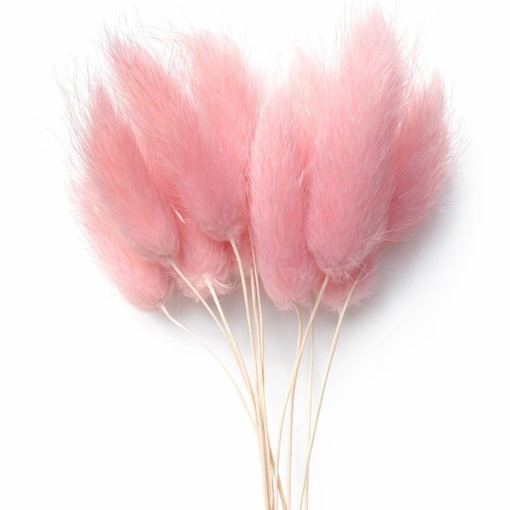 bakewareind-bunny-tails-natural-dried-flower-pack-select-color-8108060