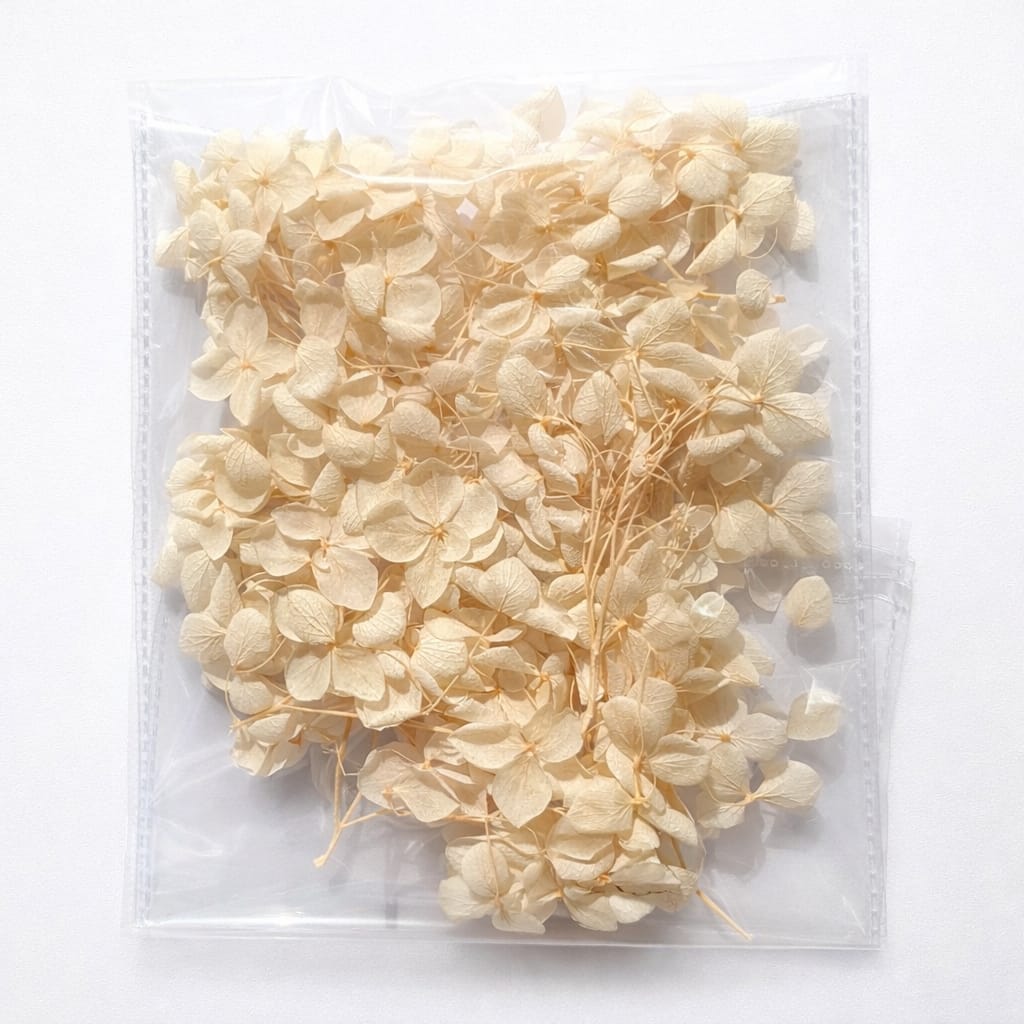 WhatsApp Image 2026-03-02 at 3.01.23 PM