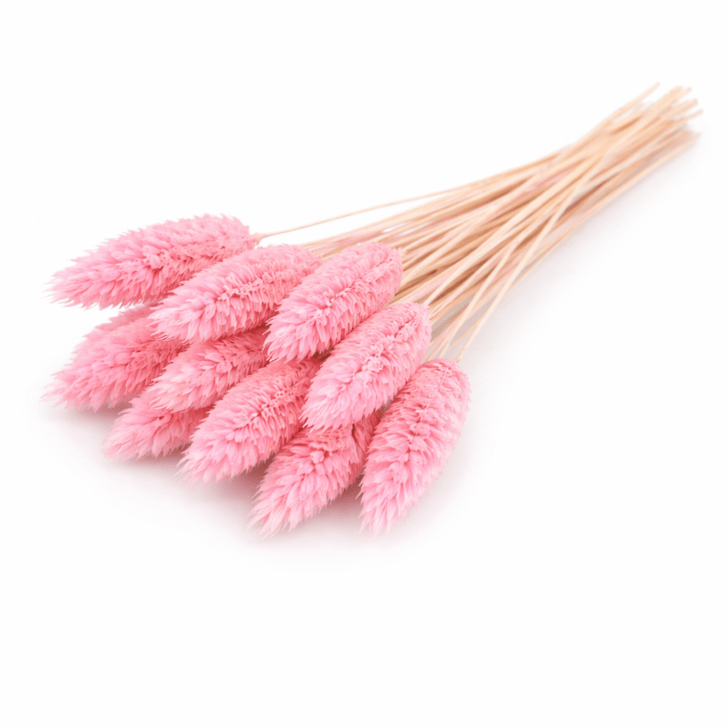 ChatGPT Image Apr 7, 2026, 01_28_13 PM