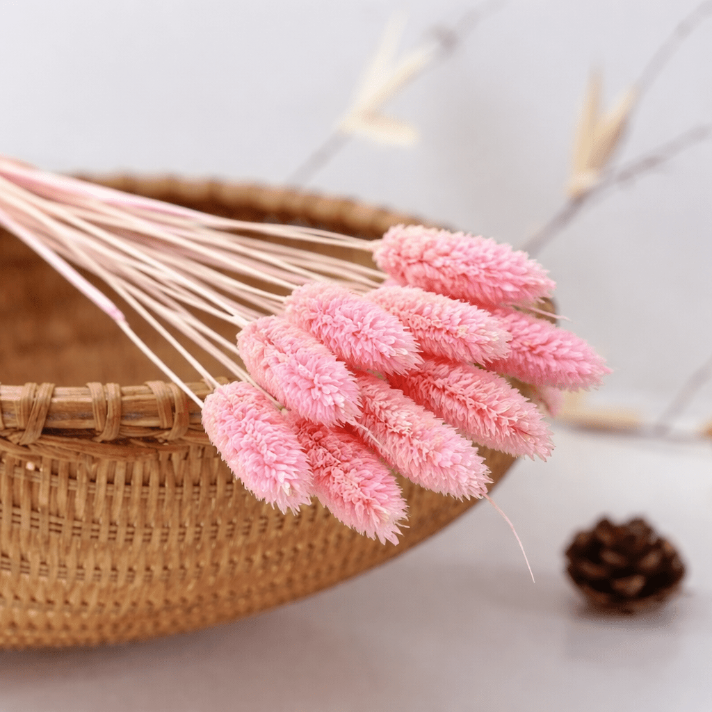 ChatGPT Image Apr 7, 2026, 01_29_48 PM