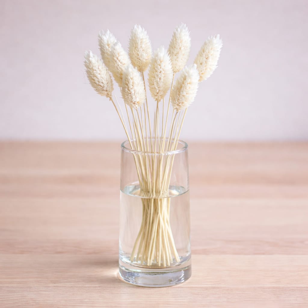 WhatsApp Image 2026-04-07 at 2.04.19 PM (1)