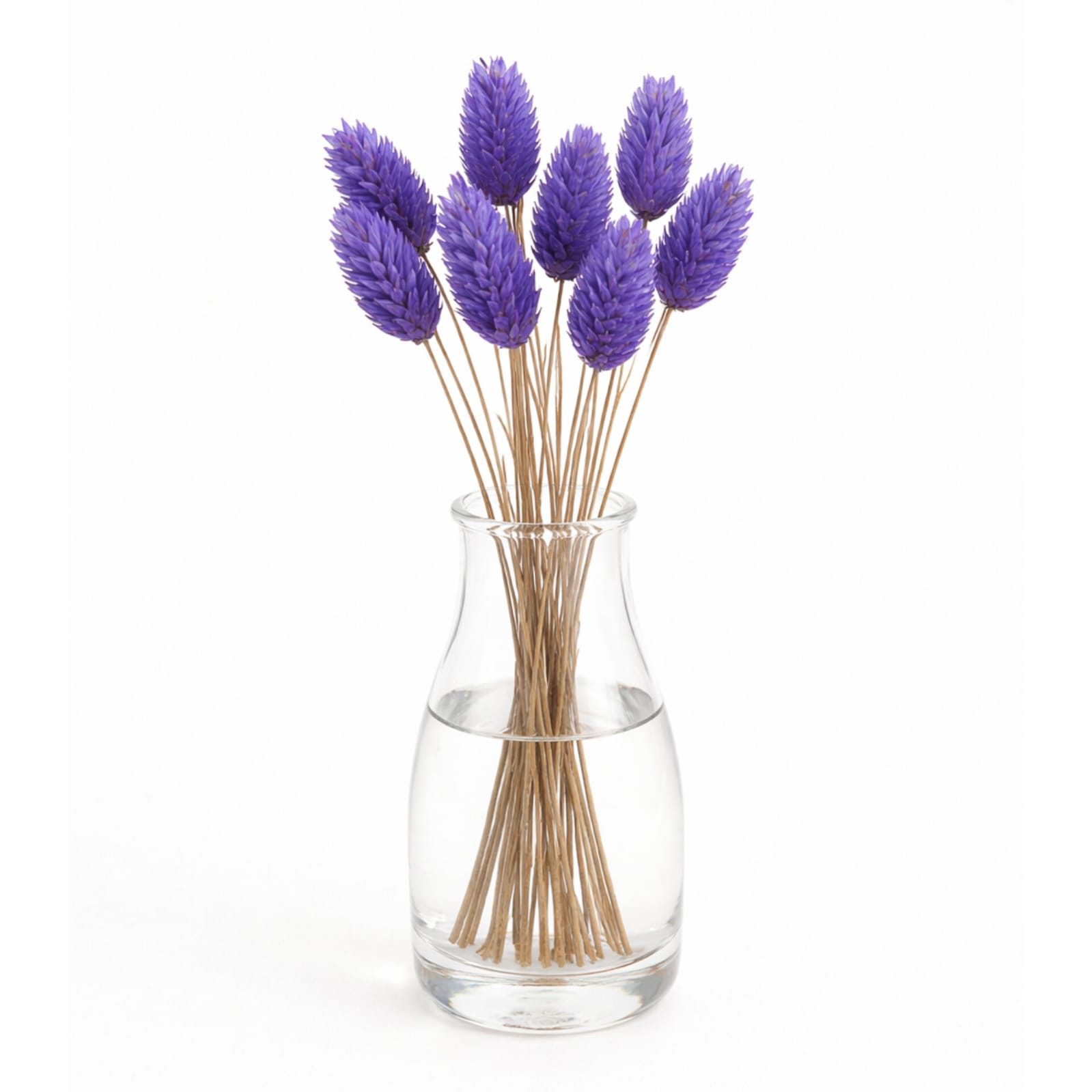 WhatsApp Image 2026-04-07 at 2.04.19 PM (2)