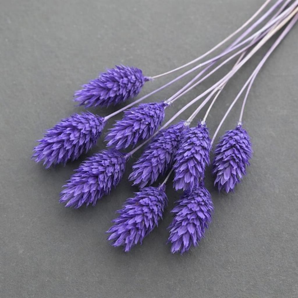 WhatsApp Image 2026-04-07 at 2.04.19 PM