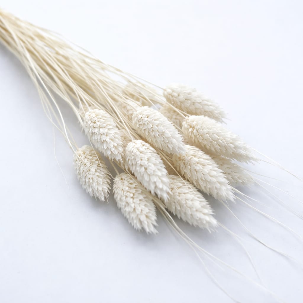 WhatsApp Image 2026-04-07 at 2.04.20 PM