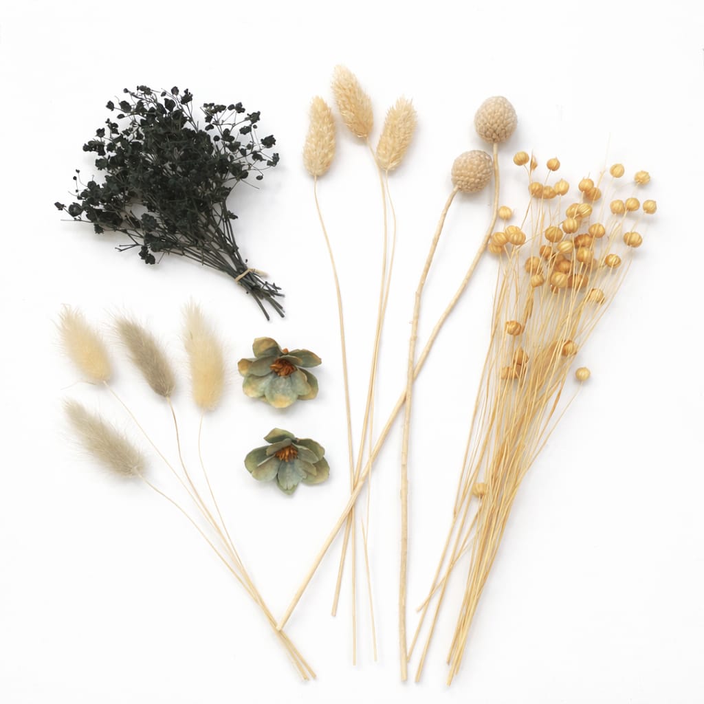 WhatsApp Image 2026-04-14 at 2.19.36 PM