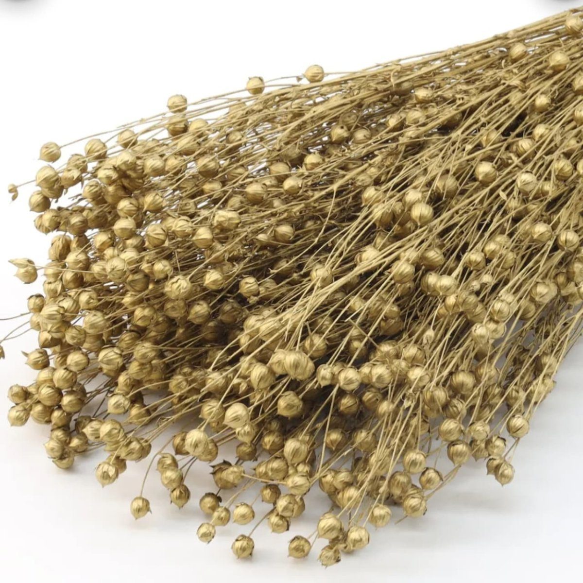 bakewareind-dried-acacia-bean-flower-preserved-golden-2383549