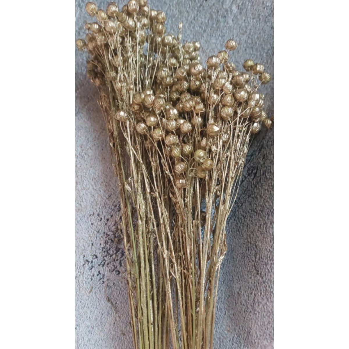 bakewareind-dried-acacia-bean-flower-preserved-golden-5016068