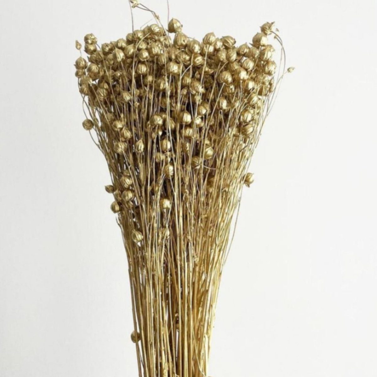 bakewareind-dried-acacia-bean-flower-preserved-golden-9529473