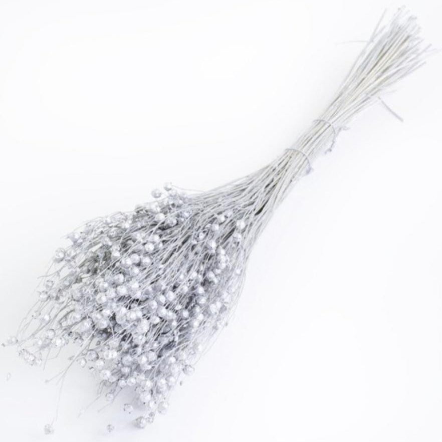 bakewareind-dried-acacia-bean-flower-preserved-silver-7074991