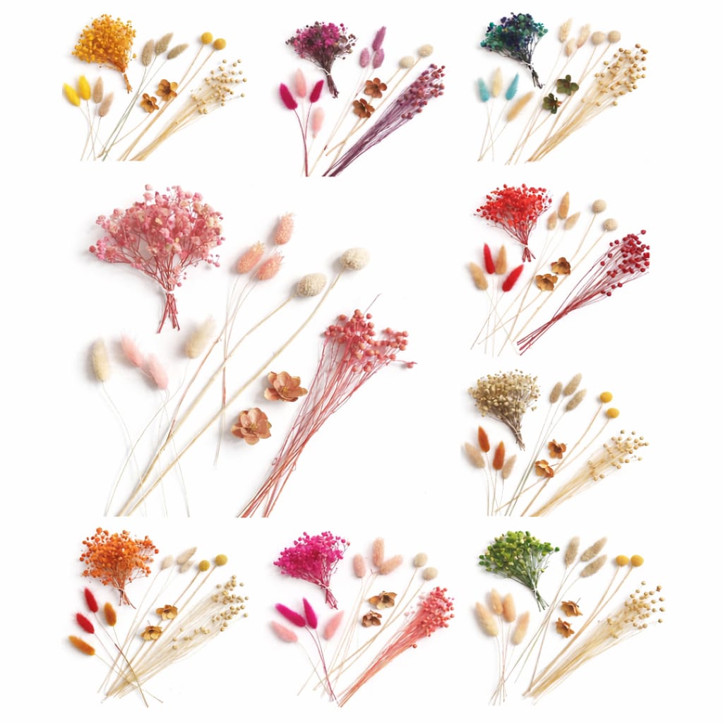 bakewareind-dried-flower-premium-mix-pack-4844398