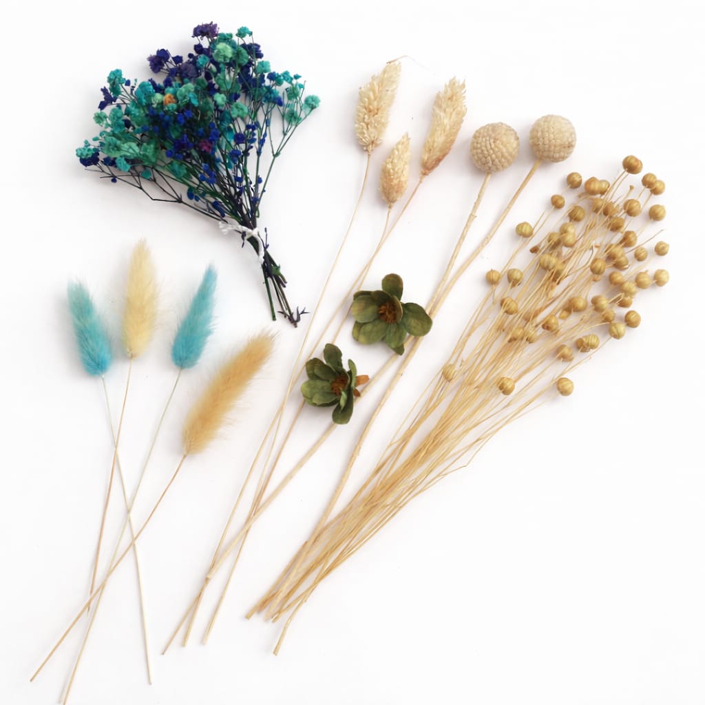 bakewareind-dried-flower-premium-mix-pack-6595348