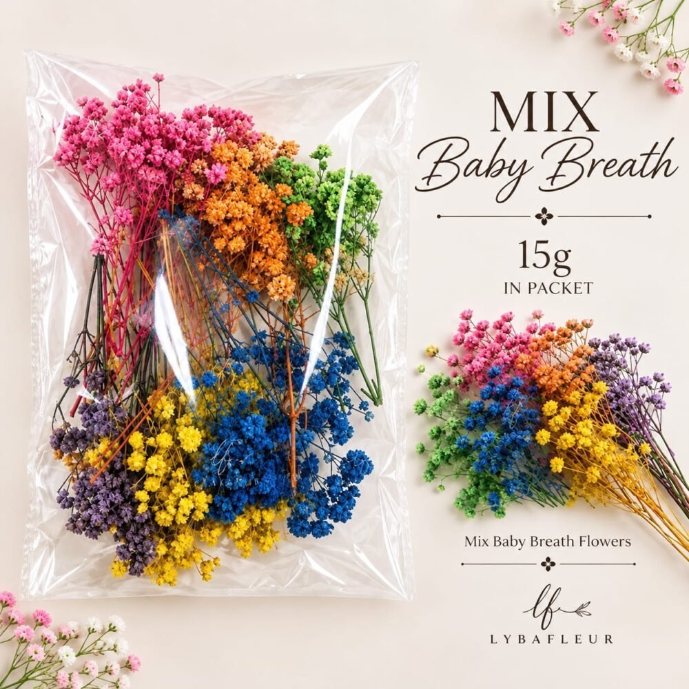 Baby Breath Dried Flower Pack- Assorted 15g
