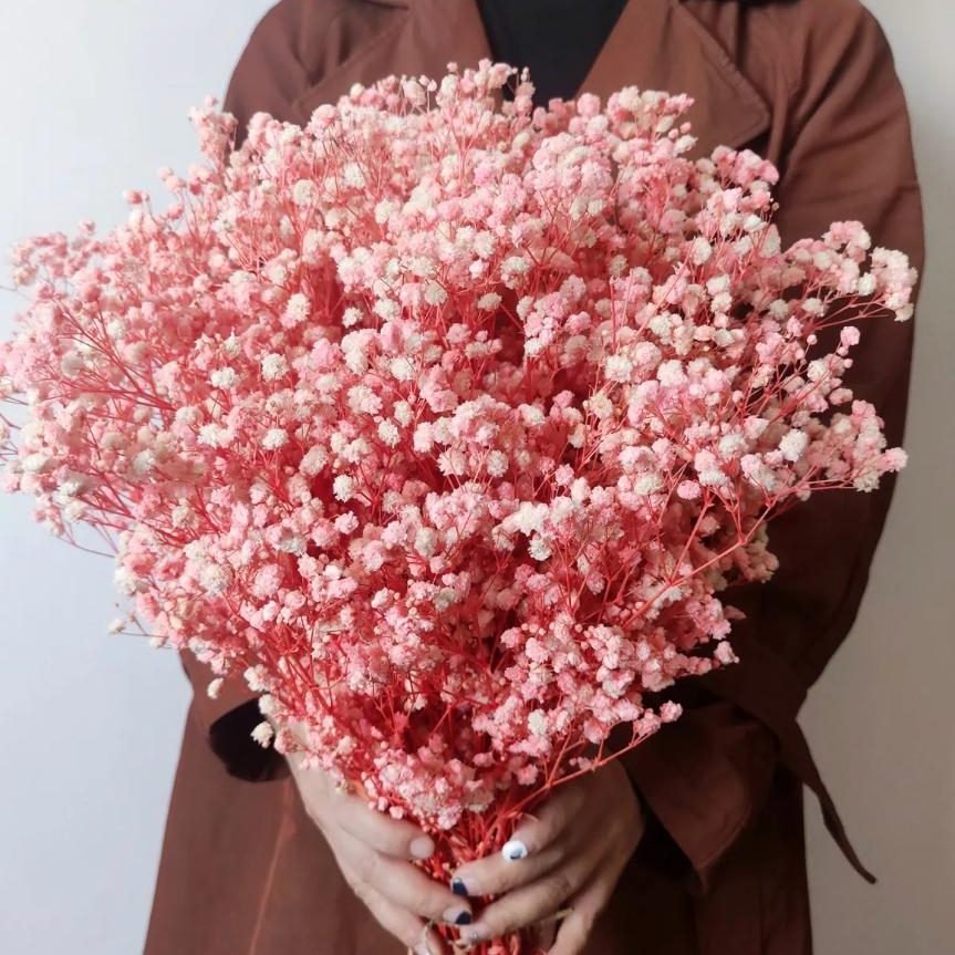 bakewareind-baby-breath-gysophilia-dried-flower-baby-pink-2858888