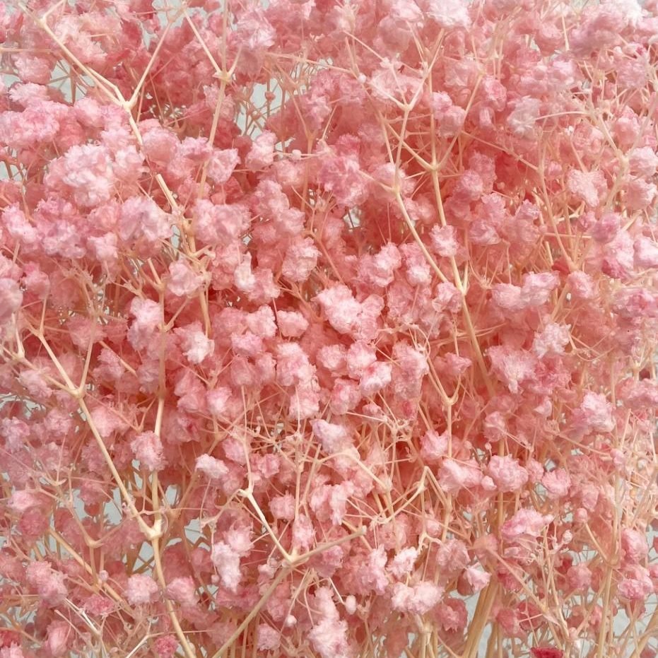 bakewareind-baby-breath-gysophilia-dried-flower-baby-pink-5107523