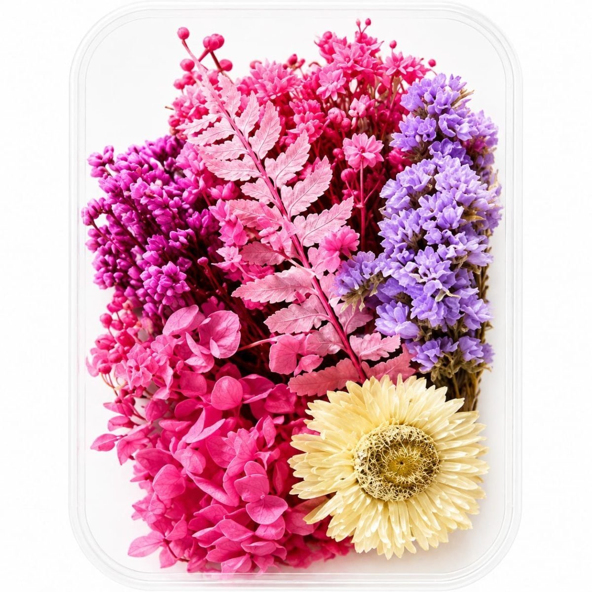 bakewareind-dried-natural-flower-box-select-color-1920861