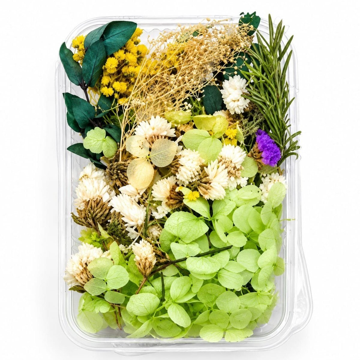 bakewareind-dried-natural-flower-box-select-color-2852966