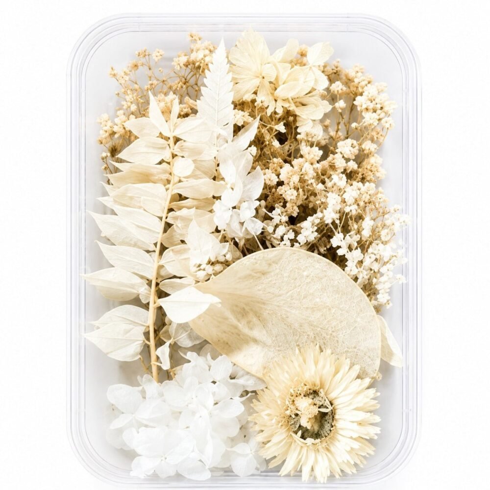 Dried Natural Flower Box- White