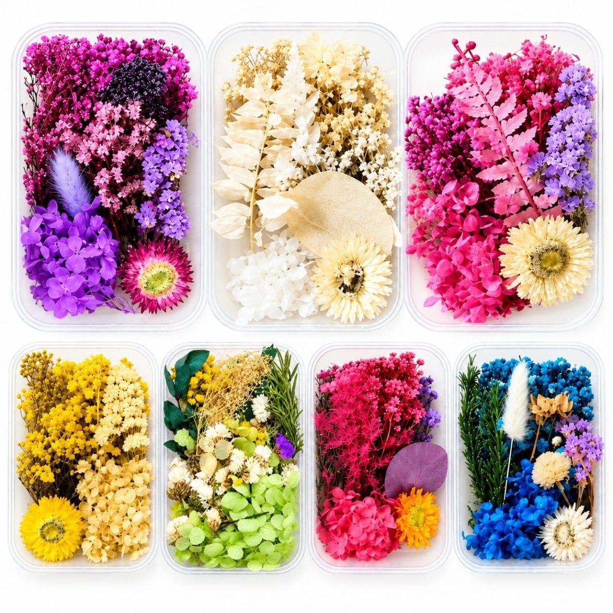 bakewareind-dried-natural-flower-box-select-color-4659242