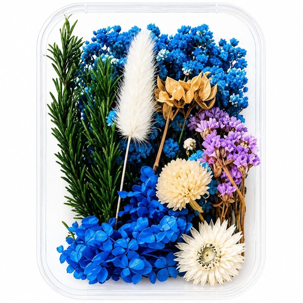 bakewareind-dried-natural-flower-box-select-color-5331145