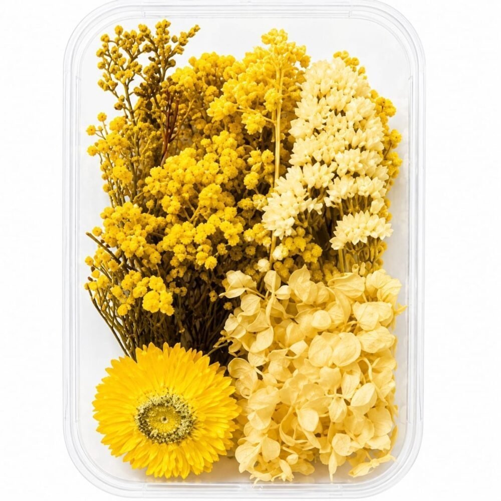 Dried Natural Flower Box- Yellow