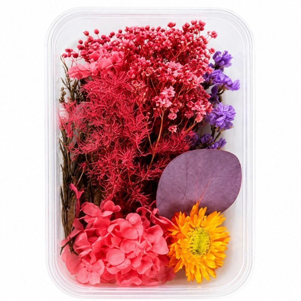 Dried Natural Flower Box- Red