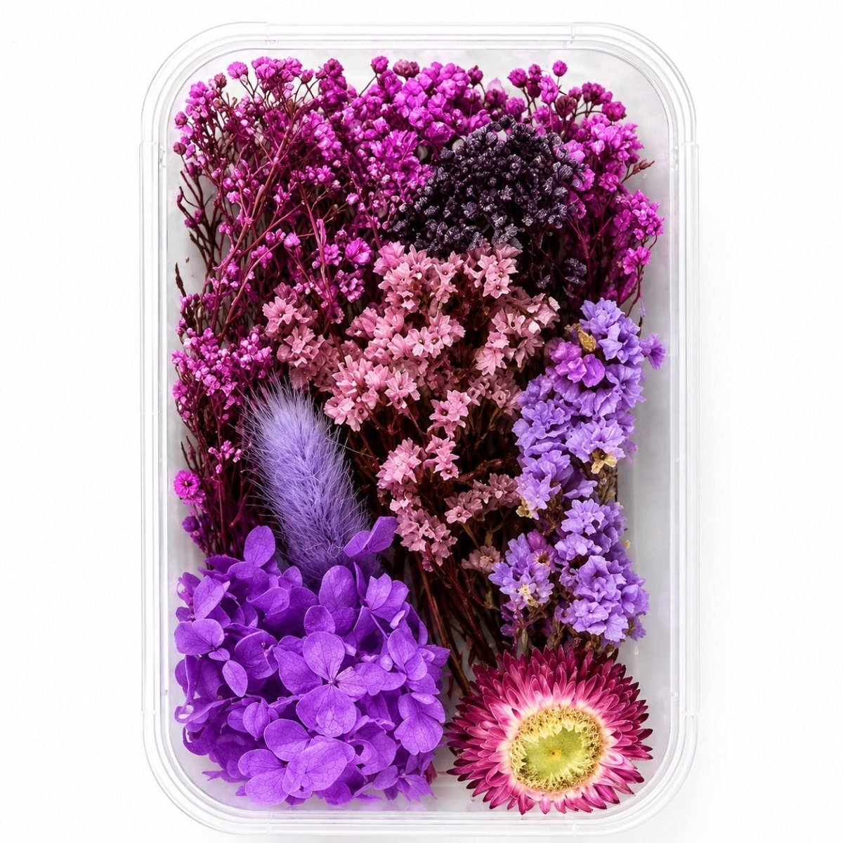 bakewareind-dried-natural-flower-box-select-color-8535111
